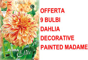 OFFERTA 9 BULBI DAHLIA DECORATIVE PAINTED MADAM