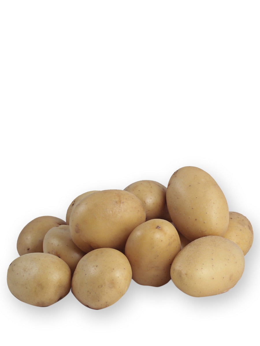 PATATA PRIMURA DA SEMINARE 1,5KG