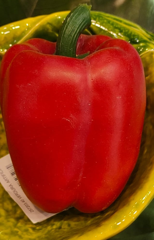 PEPERONE ROSSO ARTIFICIALE H7XD8CM