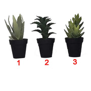 VASO CACTUS 18X7.5 CM DECORATIVO