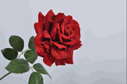 ROSA DECORATIVA CON GAMBO 65CM ROSSO E VERDE