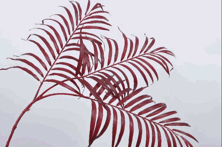 RAMO NATALIZIO CON FOGLIE 114CM BORGOGNA