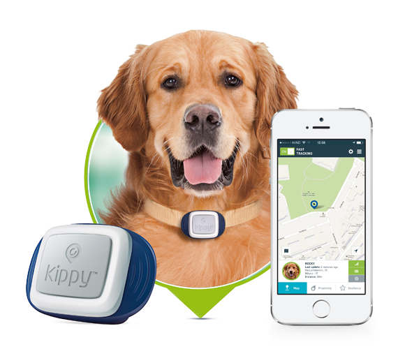 KIPPY IL RILEVATORE DI POSIZIONE GPS PER CANI E GATTI