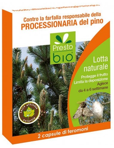 FEROMONI CONTRO LA LARVA PROCESSIONARIA DEL PINO