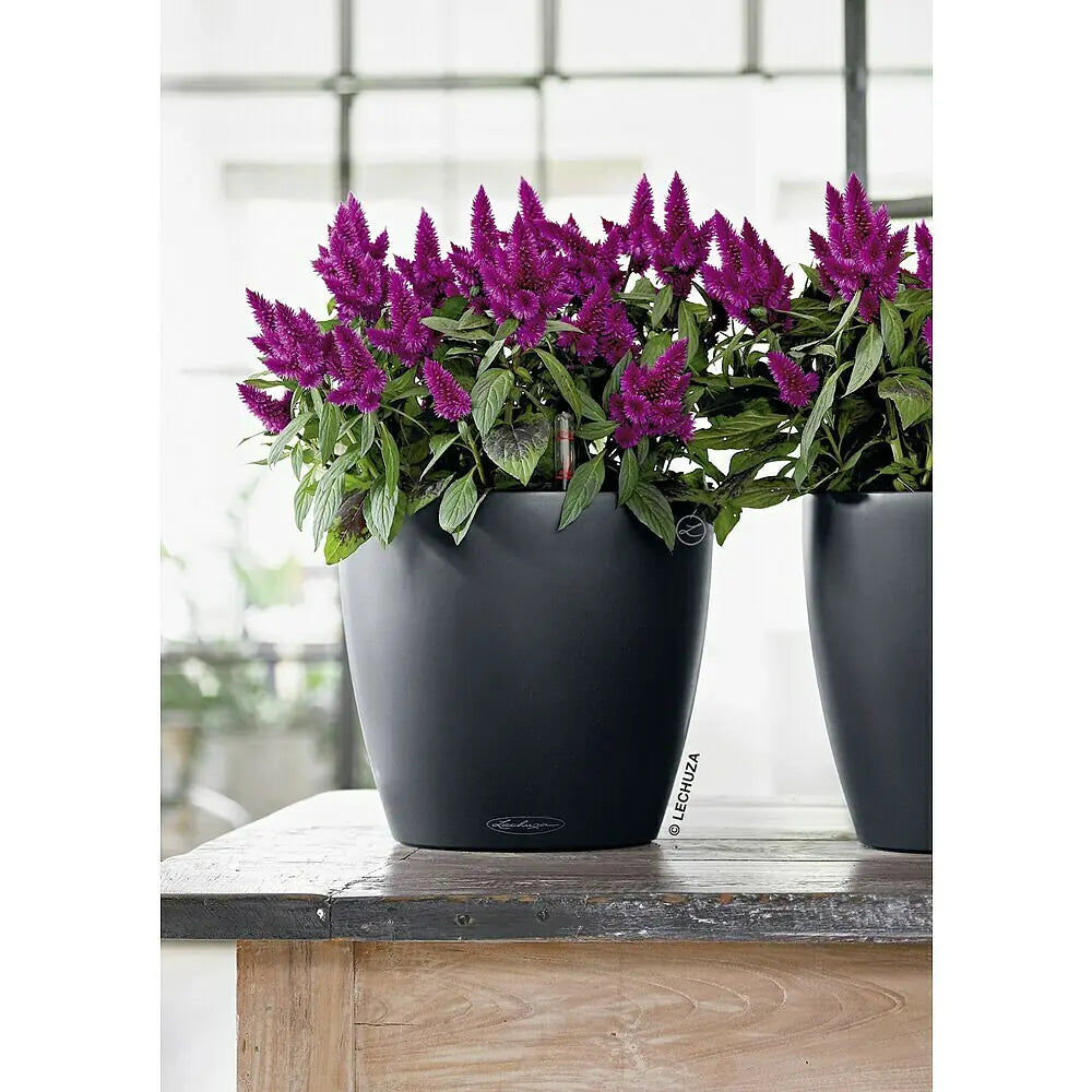 Vaso Rotondo Auto-irrigante Classico Color D19XH17 cm Grigio Ardesia LECHUZA