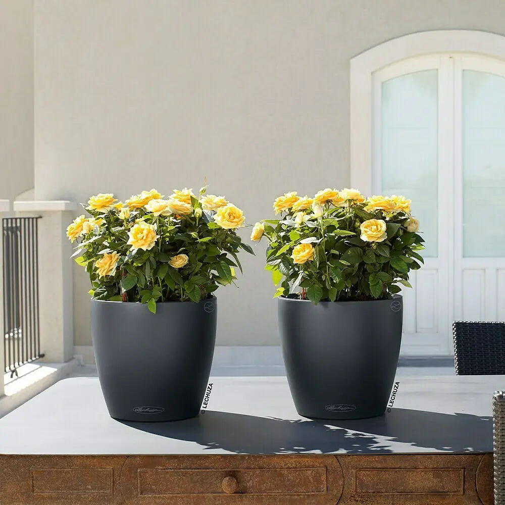 Vaso Rotondo Auto-irrigante Classico Color D19XH17 cm Grigio Ardesia LECHUZA
