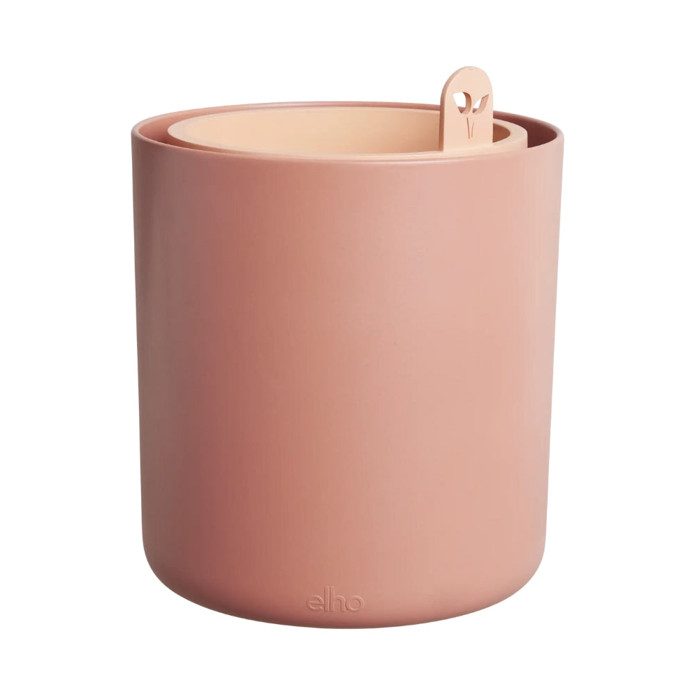 VASO BOUNCY BASIL MOU TERRA