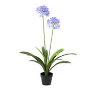 PIANTA ARTIFICIALE AGAPANTHUS LILLA IN VASO H105