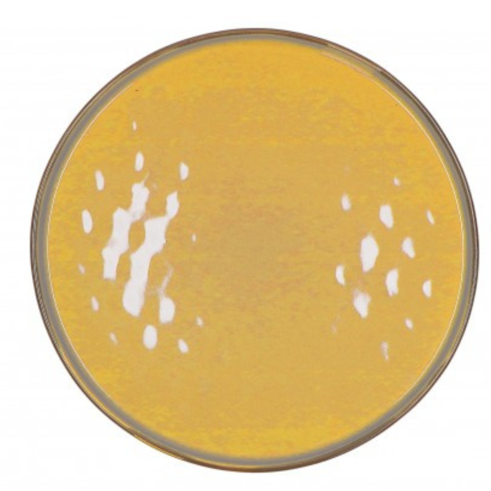 PIATTO TESO D. 27 CM OCRA CONCERTO GLAM