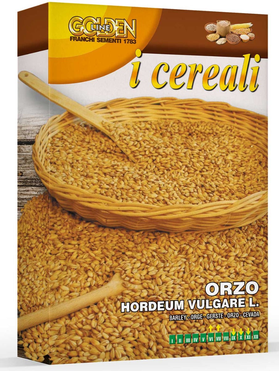 SCATOLA DA 100GR CON SEMI DI ORZO