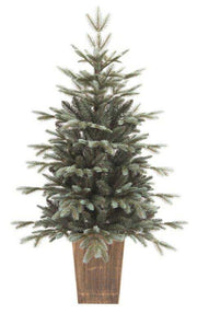 PINETTO VERDE ARGENTATO 120CM IN VASO