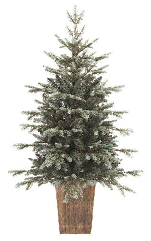 PINETTO VERDE ARGENTATO 120CM IN VASO