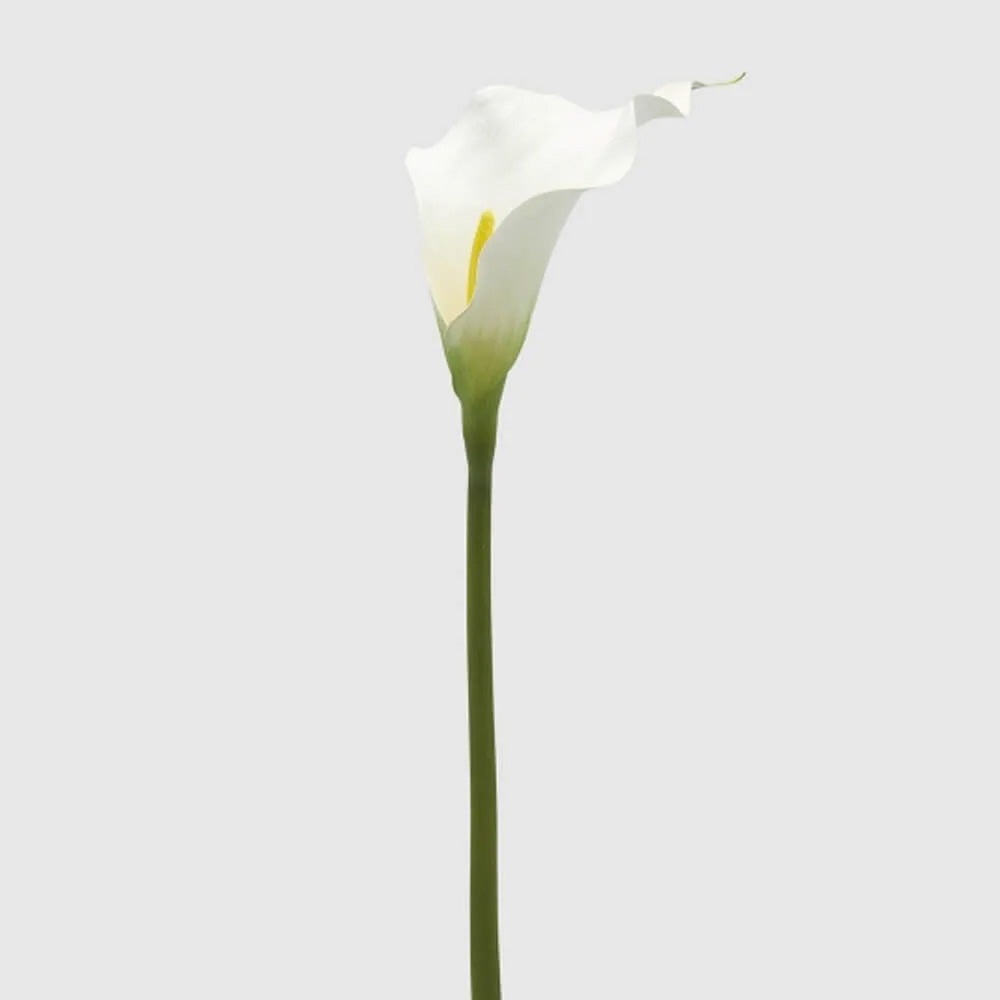 RAMO CALLA H65CM BIANCO