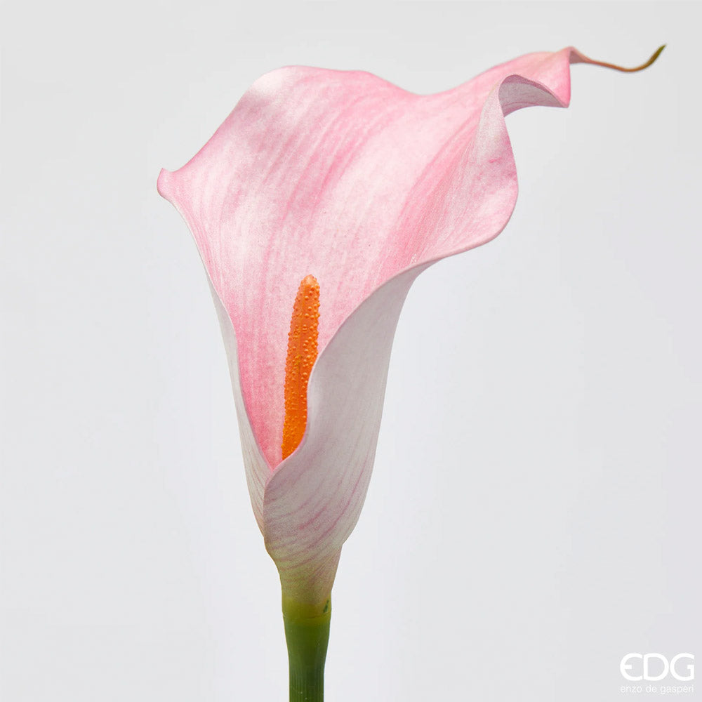 RAMO CALLA H65CM ROSA