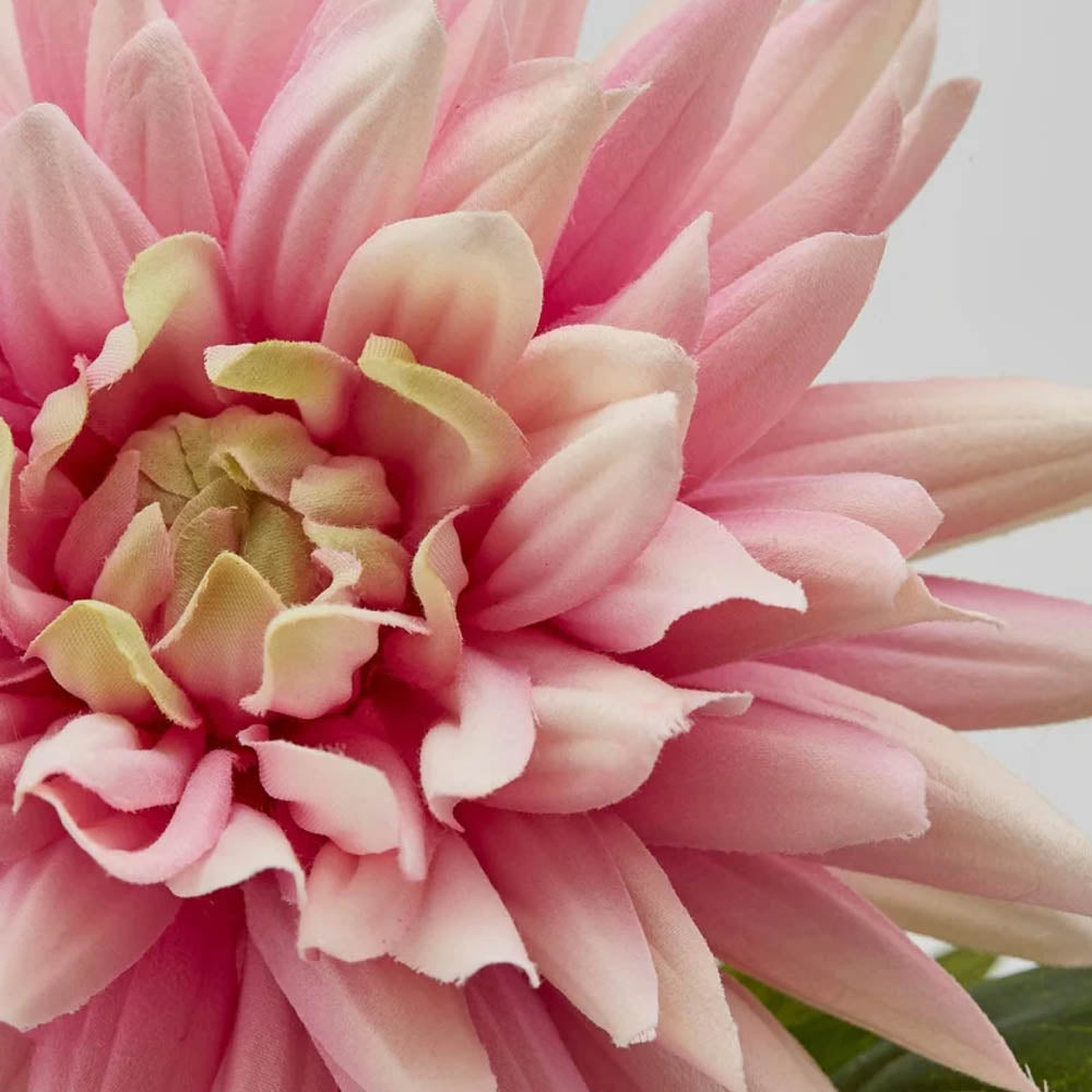RAMO DI DALIA CHIC H67CM COLORI ASSORTITI ROSA E CREMA