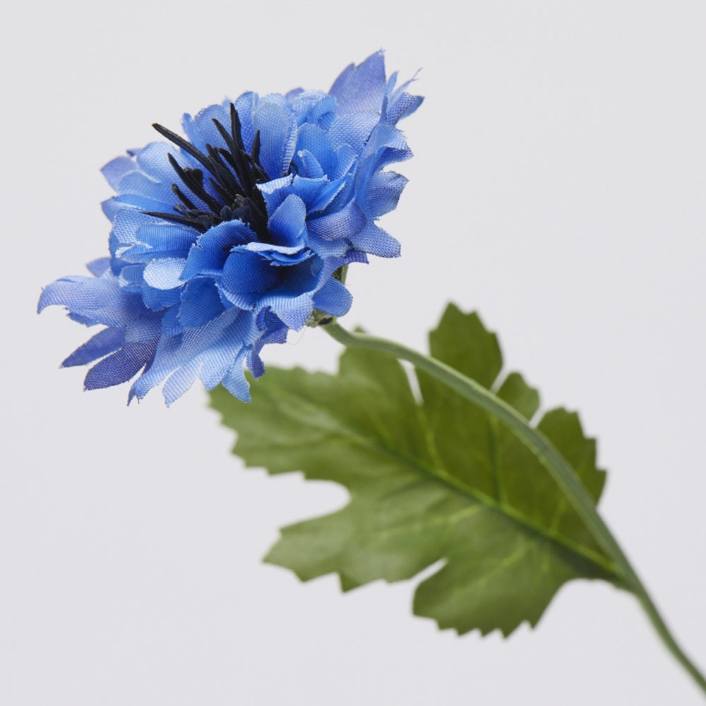 RAMO DI FIORDALISO H64CM INDIGO BLU