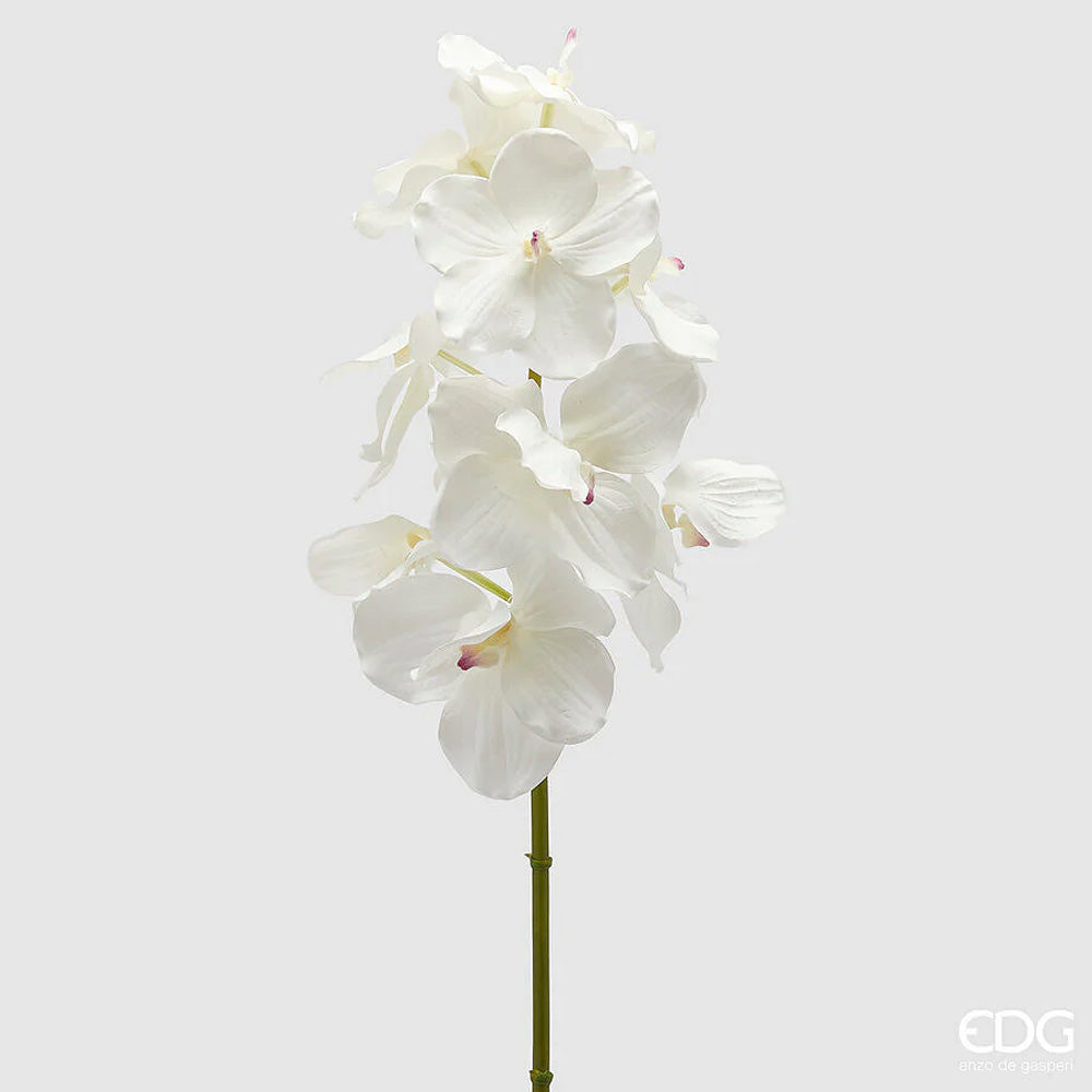 RAMO DI ORCHIDEA VANDA H95CM BIANCO