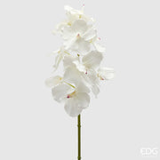 RAMO DI ORCHIDEA VANDA H95CM BIANCO