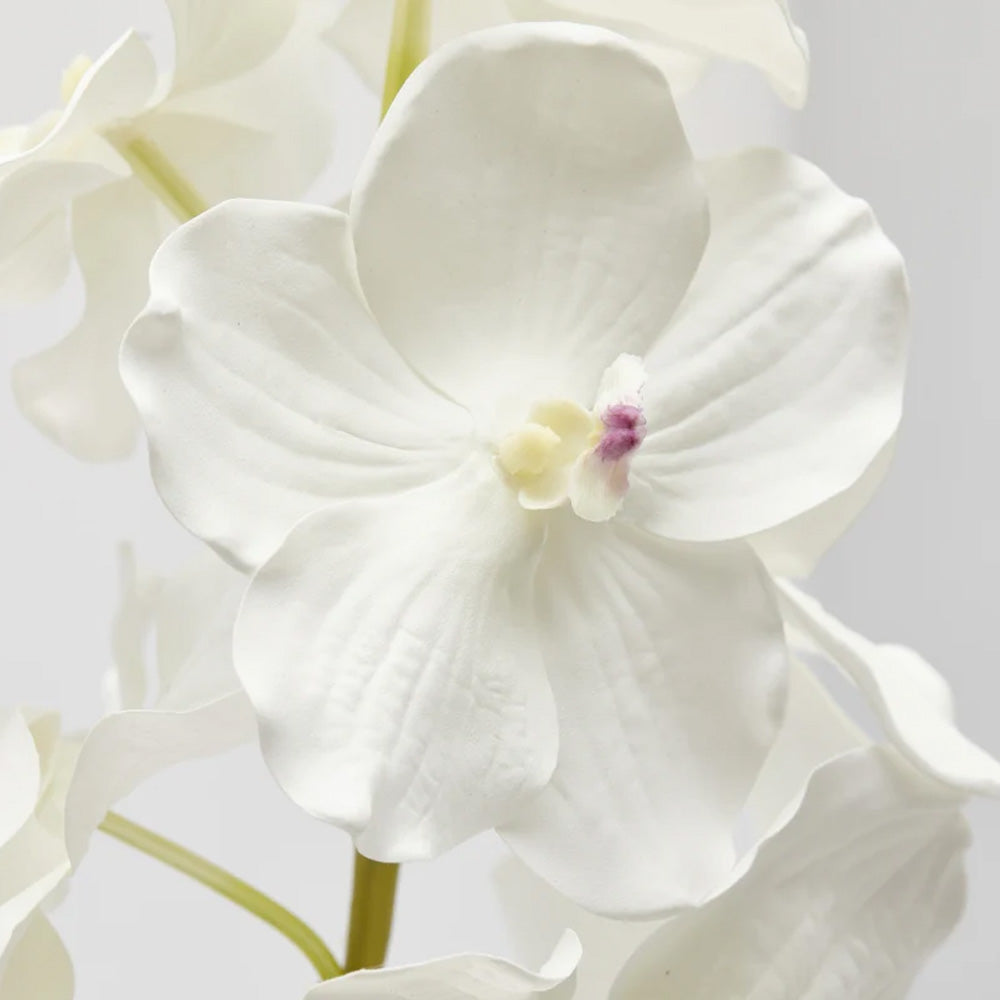 RAMO DI ORCHIDEA VANDA H95CM BIANCO