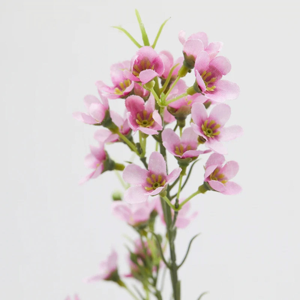 RAMO DI PIOMBAGGINE ARTIFICIALE H70CM FUCSIA