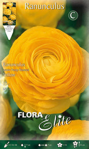 RANUNCOLO ASIATIC YELLOW (CONFEZIONE DA 10 BULBI)