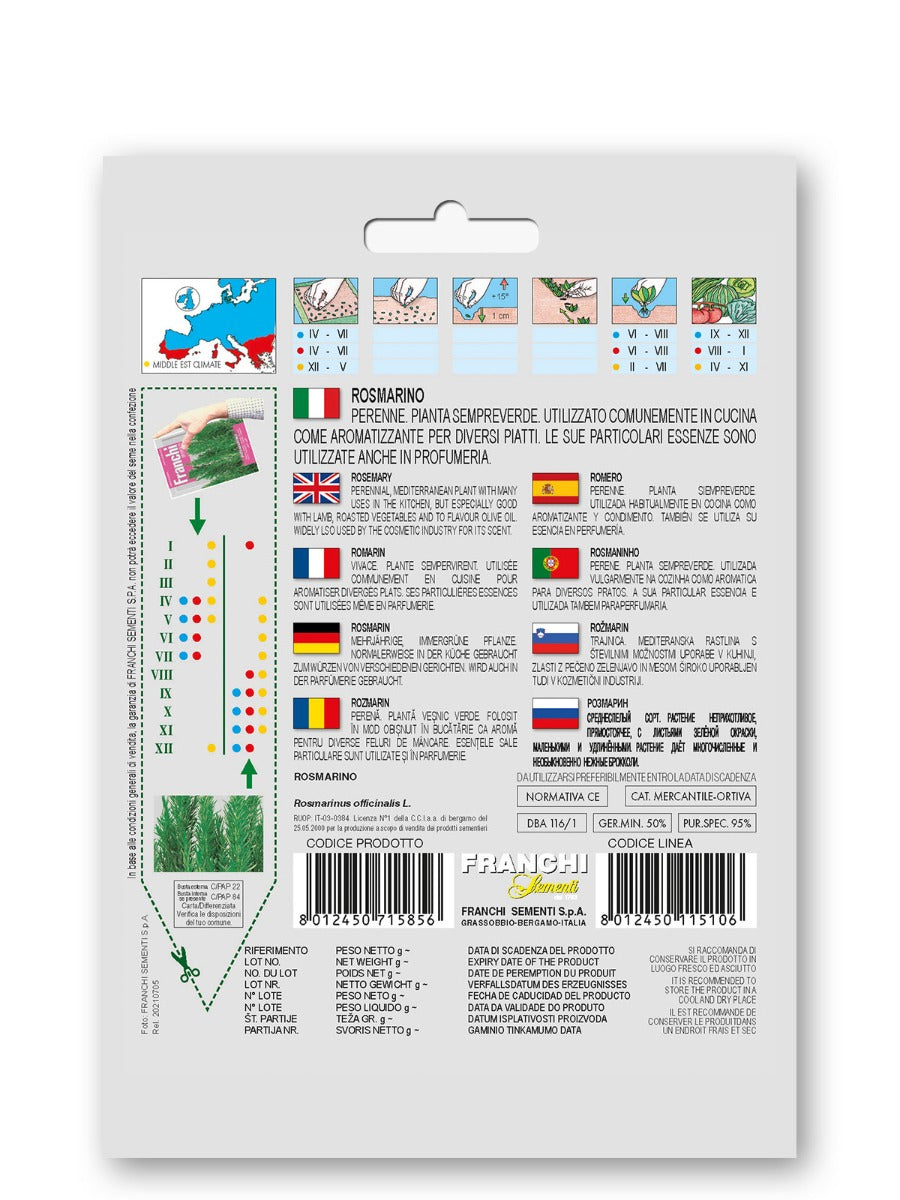 SEMI DI ROSMARINO