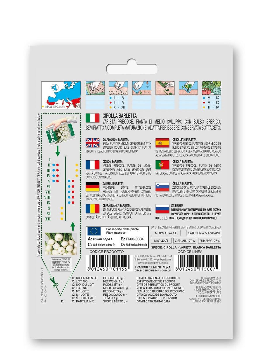 SEMI DI CIPOLLA BLANCA BARLETTA