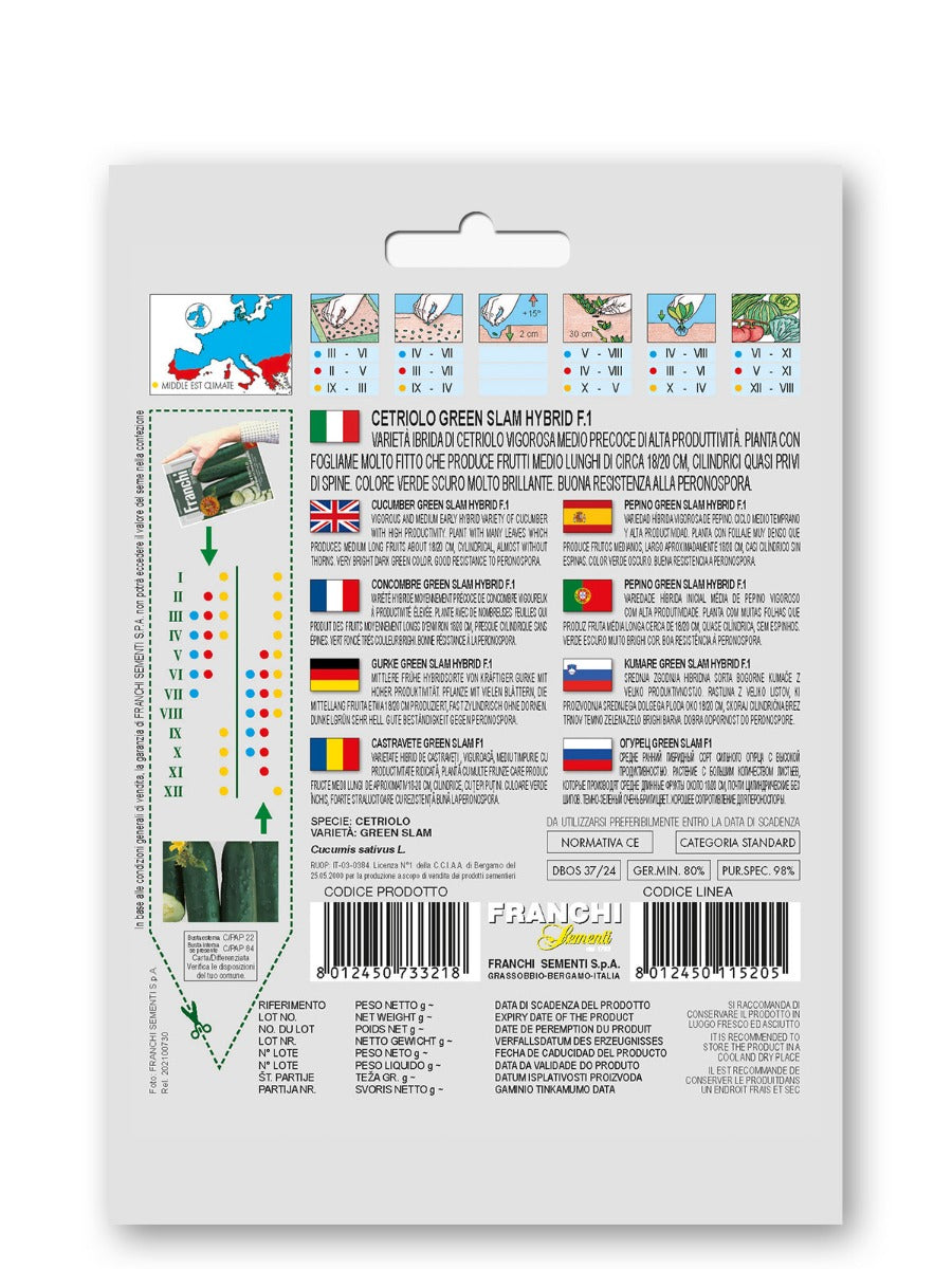 SEMI DI CETRIOLO GREEN SLAM TIPO SAKAMARI