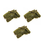 OFFERTA 3 MUSCHIO  NATURALE SOFFICE PER PRESEPE 60 GR