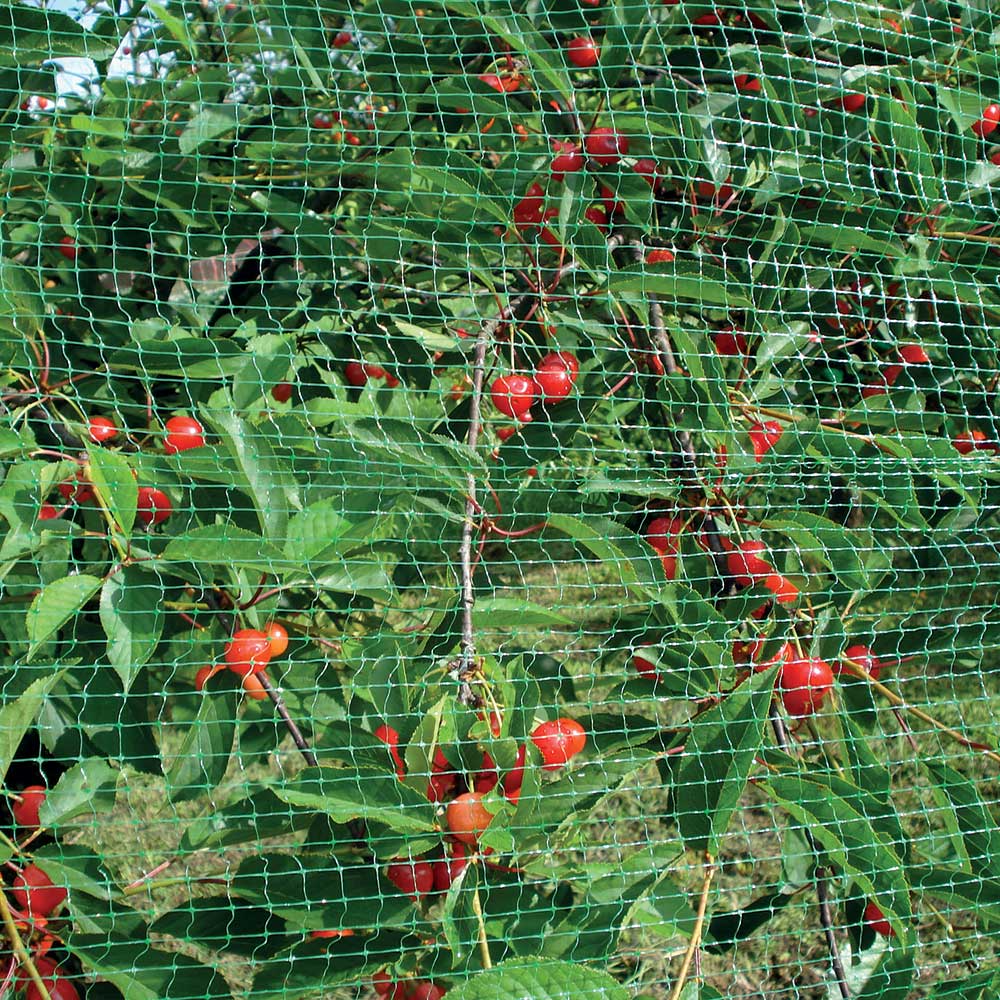 RETE ANTIUCCELLI ORTOFLEX VERDE 5X8M PER IL GIARDINO