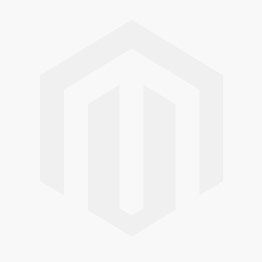OFFERTA 300 BULBI MUSCARI ARMENIACUM