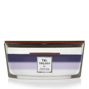 CANDELA ELLIPSE TRILOGY EVENING LUX