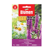 SEMI SALCERELLA BLUMEN