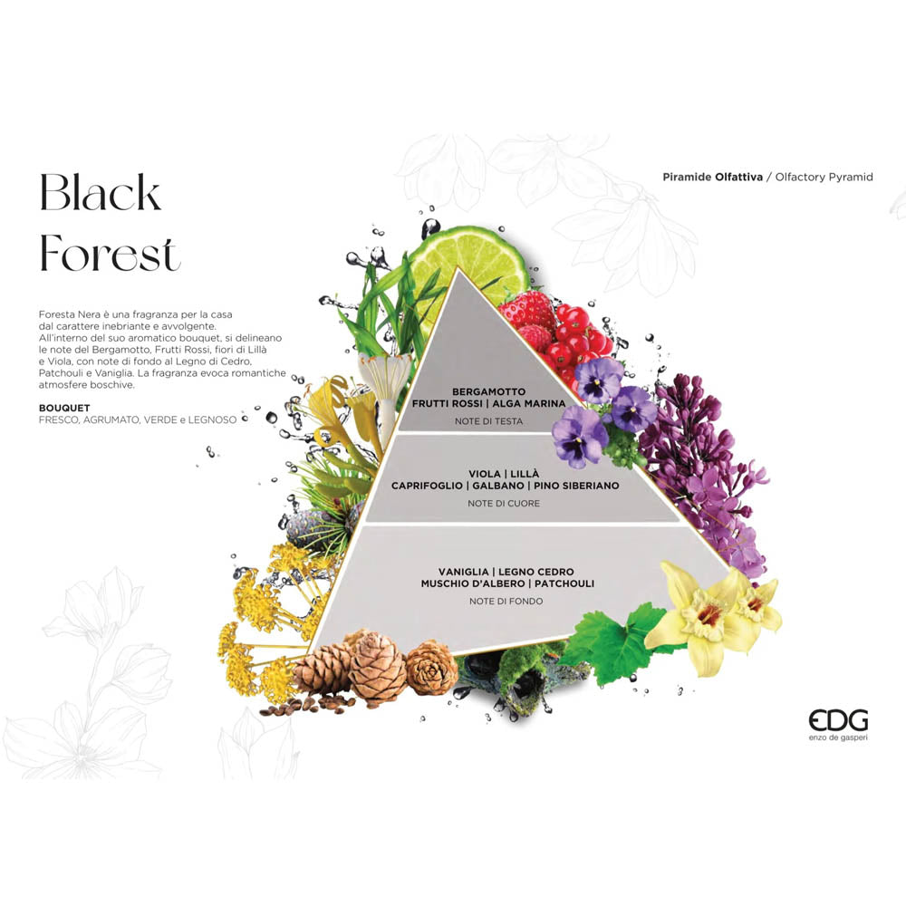 RICARICA PROFUMO PER AMBIENTE LUX FORESTA NERA 250ML