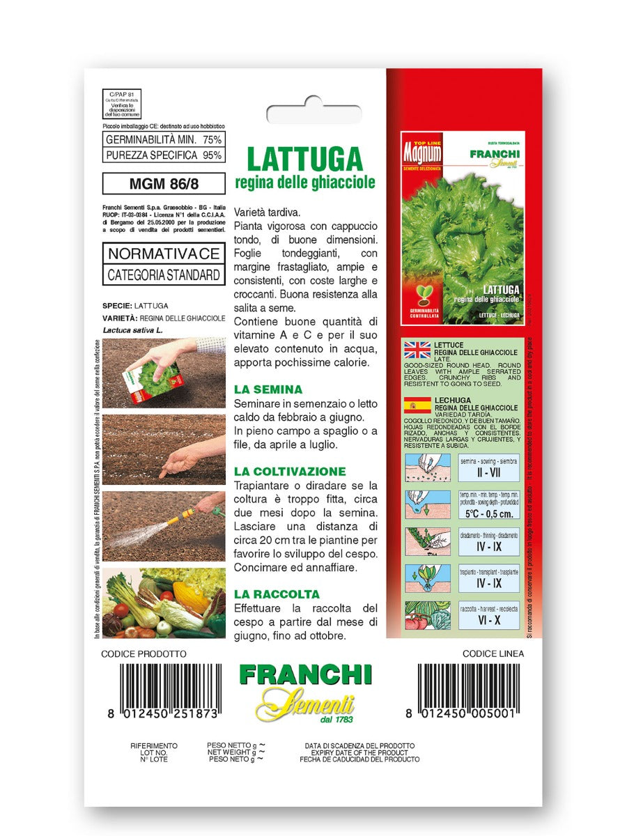 SEMI DI LATTUGA REGINA DELLE GHIACCIOLE