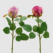 ROSA BOCCIOLI ARTIFICIALE H51CM MALVA ASSORTITO