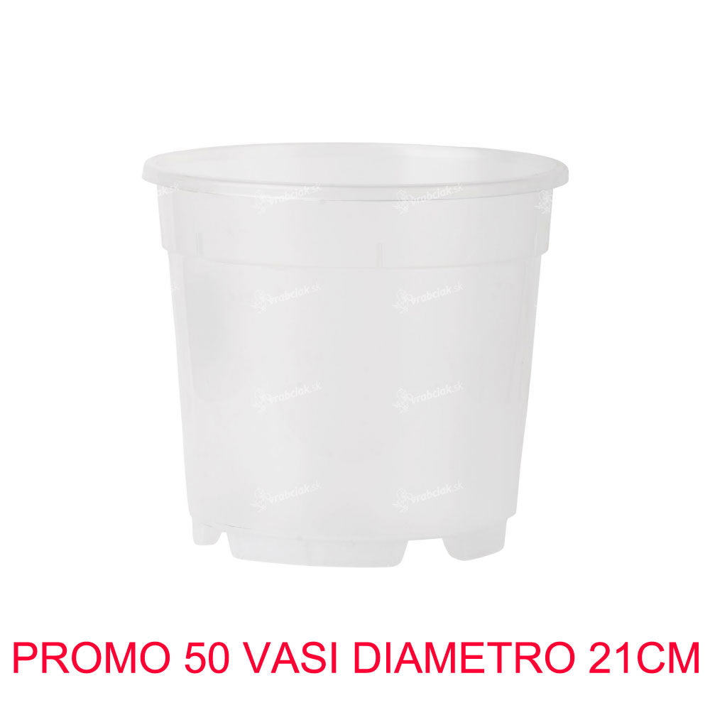 50 VASI PER ORCHIDEE Ø21CM TRASPARENTE
