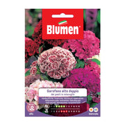 SEMI GAROFANO POETI ALTO DOPPIO MIX BLUMEN