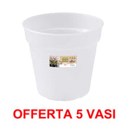OFFERTA 5 VASO ORCHIDEE GREEN BASICS ORCHID 13CM TRANSPARENT