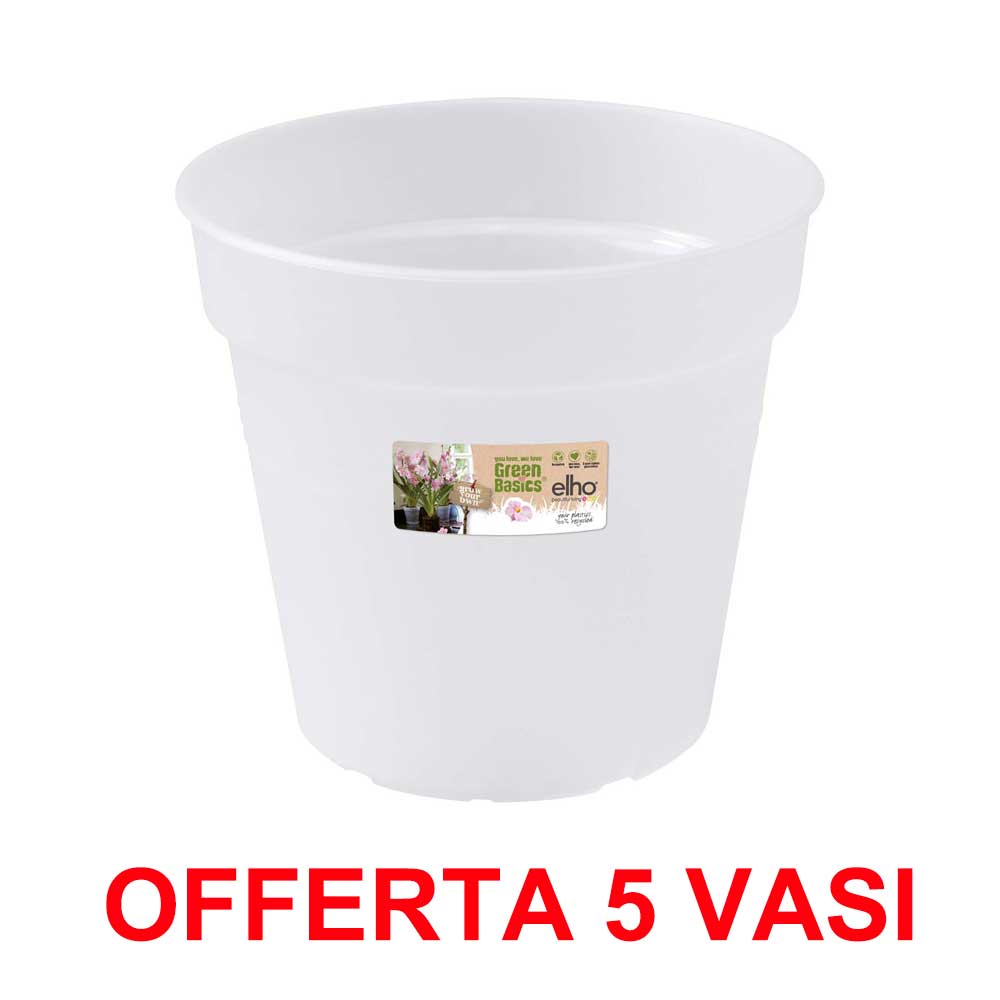 OFFERTA 5 VASO ORCHIDEE GREEN BASICS ORCHID 15CM TRASPARENTE