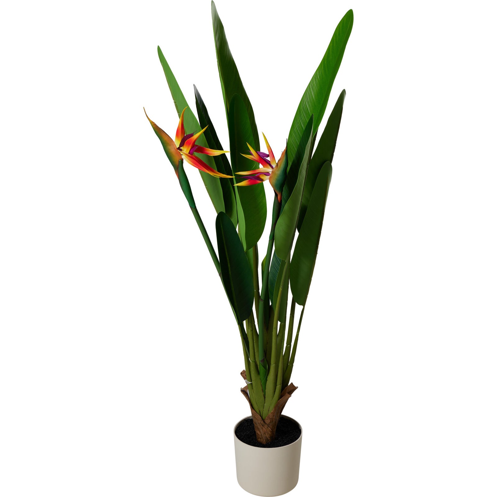 Pianta Artificiale in Vaso ORNO D 65 x 120 cm Beige PERAGA HOME