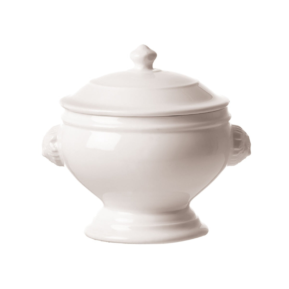 ZUPPIERA "CHIMERA" TESTA LEONE 3 LITRI 22CM