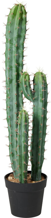 Pianta Artificiale Cactus D 23x94 cm Verde PERAGA HOME