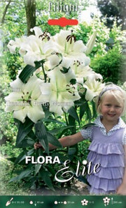 LILIUM HYBRIDS PRETTY WOMAN (CONFEZIONE DA 2 BULBI)