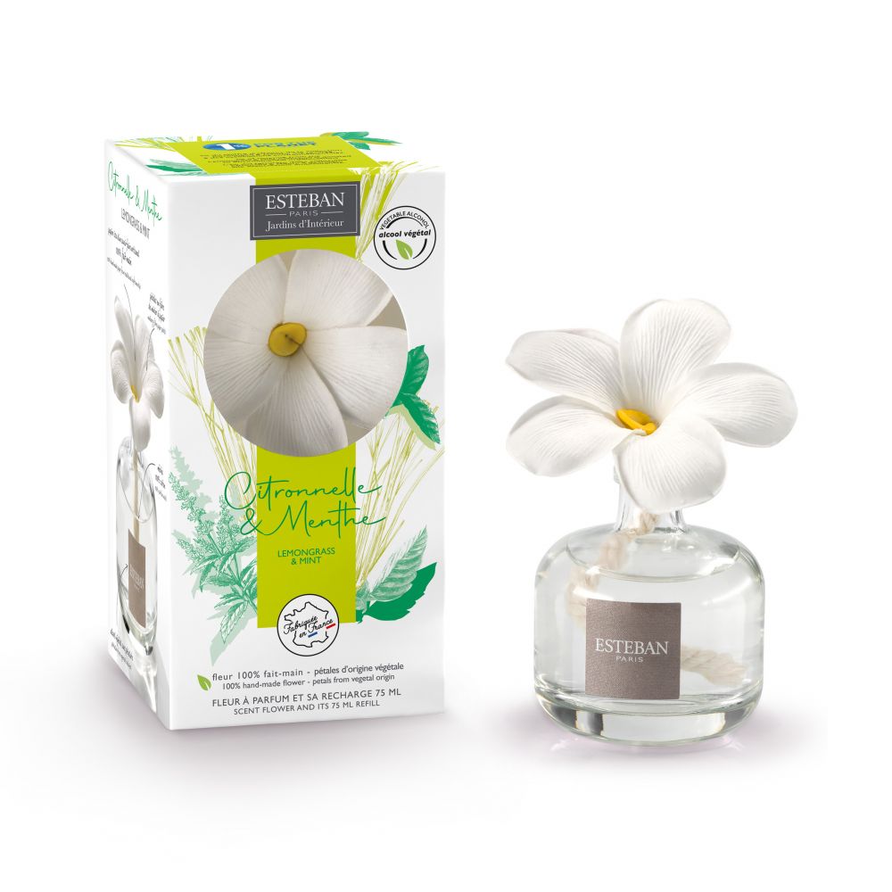 DIFFUSORE FIORE PROFUMATO E RICARICA 75ML CITRO&MENTHE