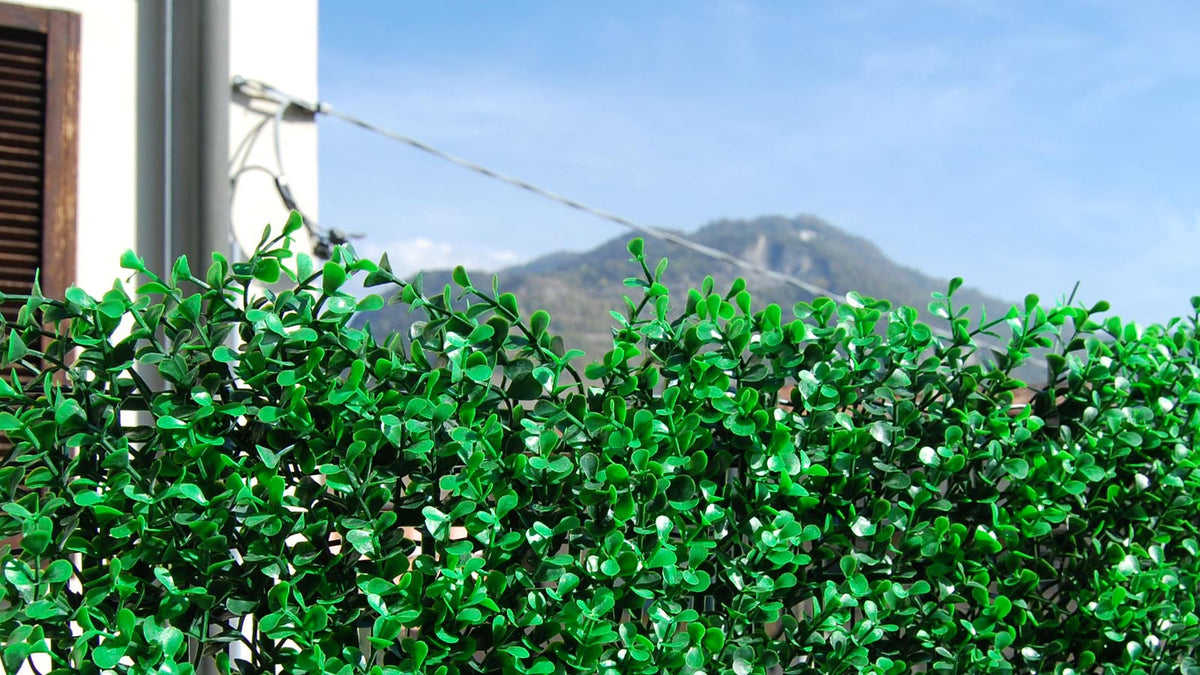Divy SIEPE SINTETICA DIVY 3D PANEL BUXUS INTENSE 0.5X1 M – Peragashop