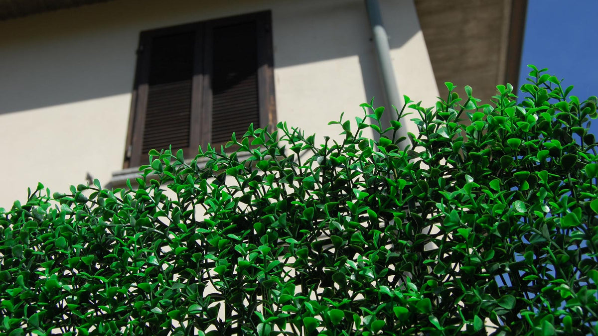 Divy SIEPE SINTETICA DIVY 3D PANEL BUXUS INTENSE 0.5X1 M – Peragashop