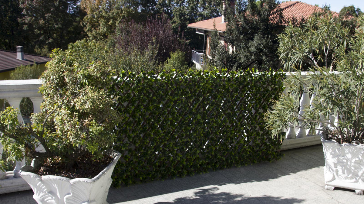 Divy SIEPE SINTETICA CON TRALICCIO ESTENDIBILE DIVY 3D TRELLIS 1X2 M ...