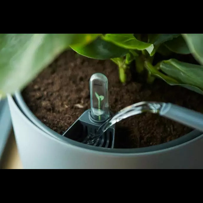 SISTEMA DI AUTOIRRIGAZIONE SELF-WATERING INSERT 33CM LIVING BLACK