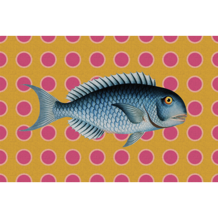 Tovaglietta All'Americana Fish Blu 44x30 cm - immagine 1